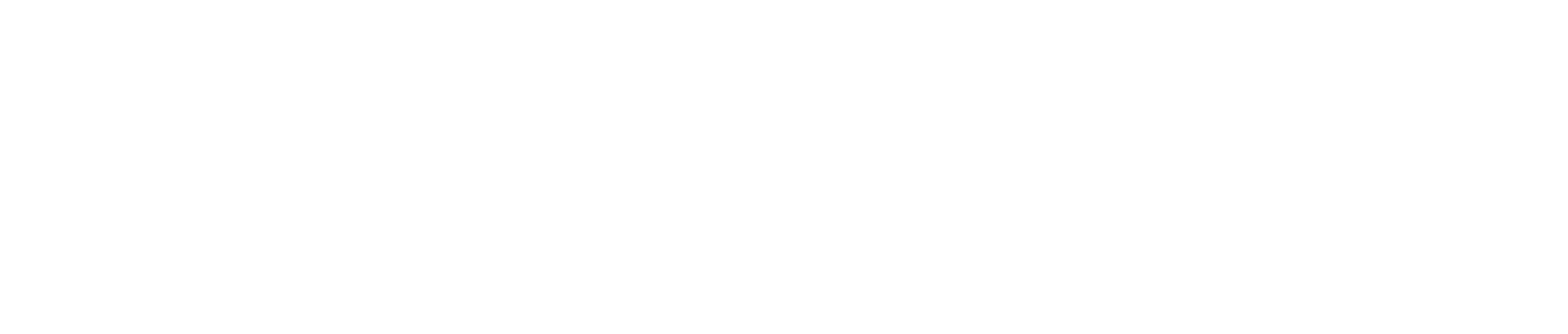 MultiOn