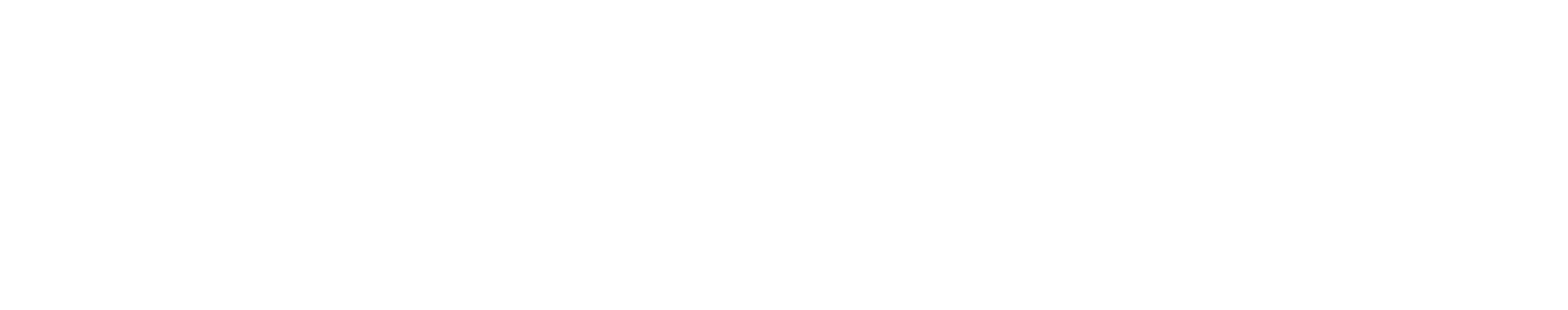 WebSim
